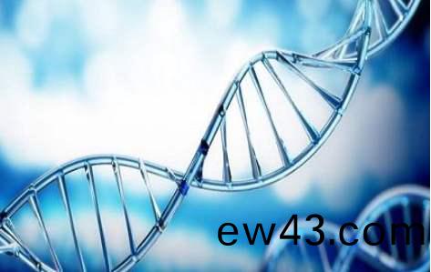 百傲2019再穫三證,進入DNA免提時代