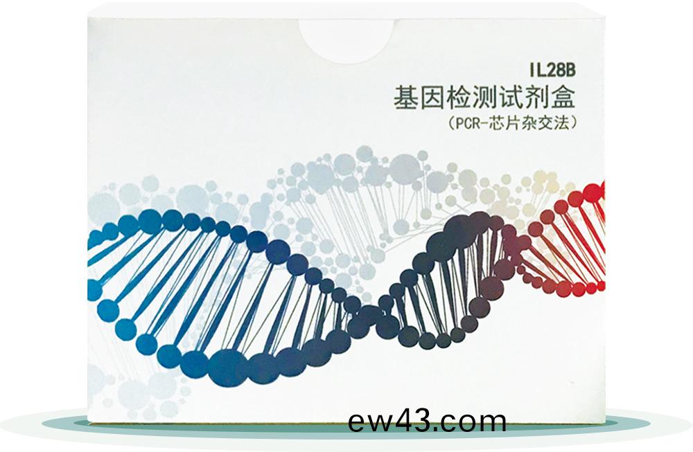IL28B
基囙檢測(ce)試(shi)劑(ji)盒